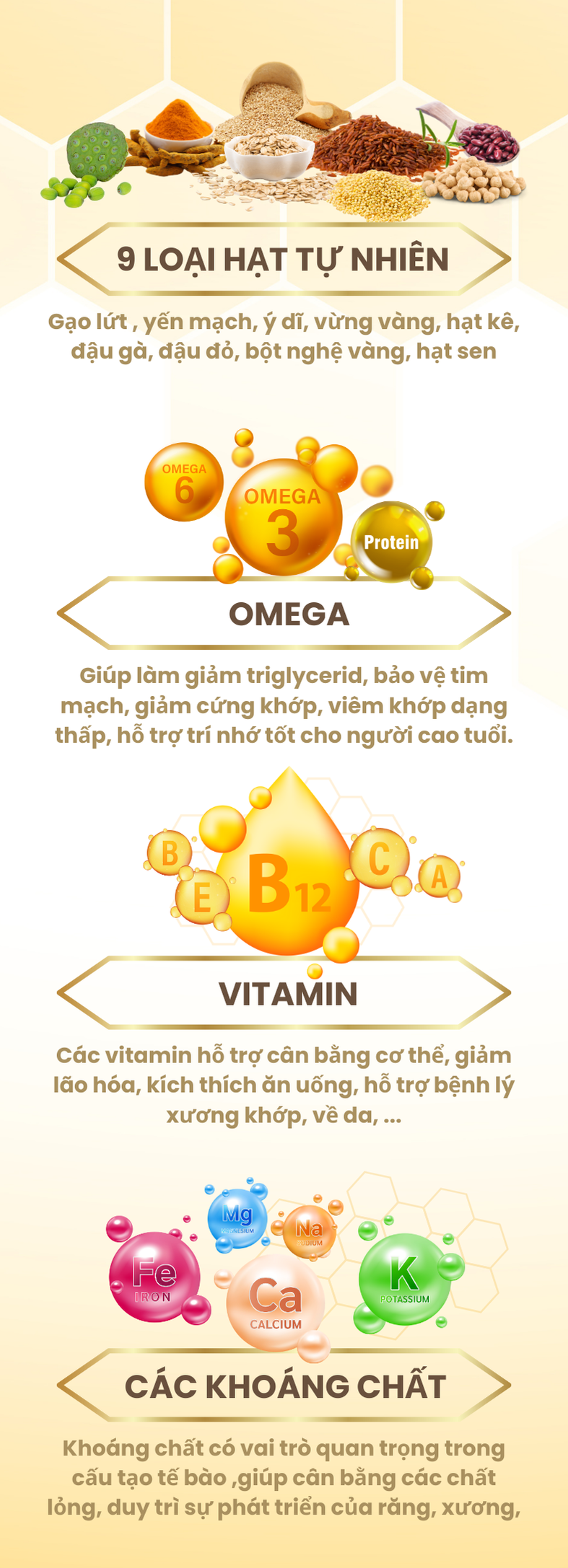 Bữa ăn Lành Mạnh (1)
